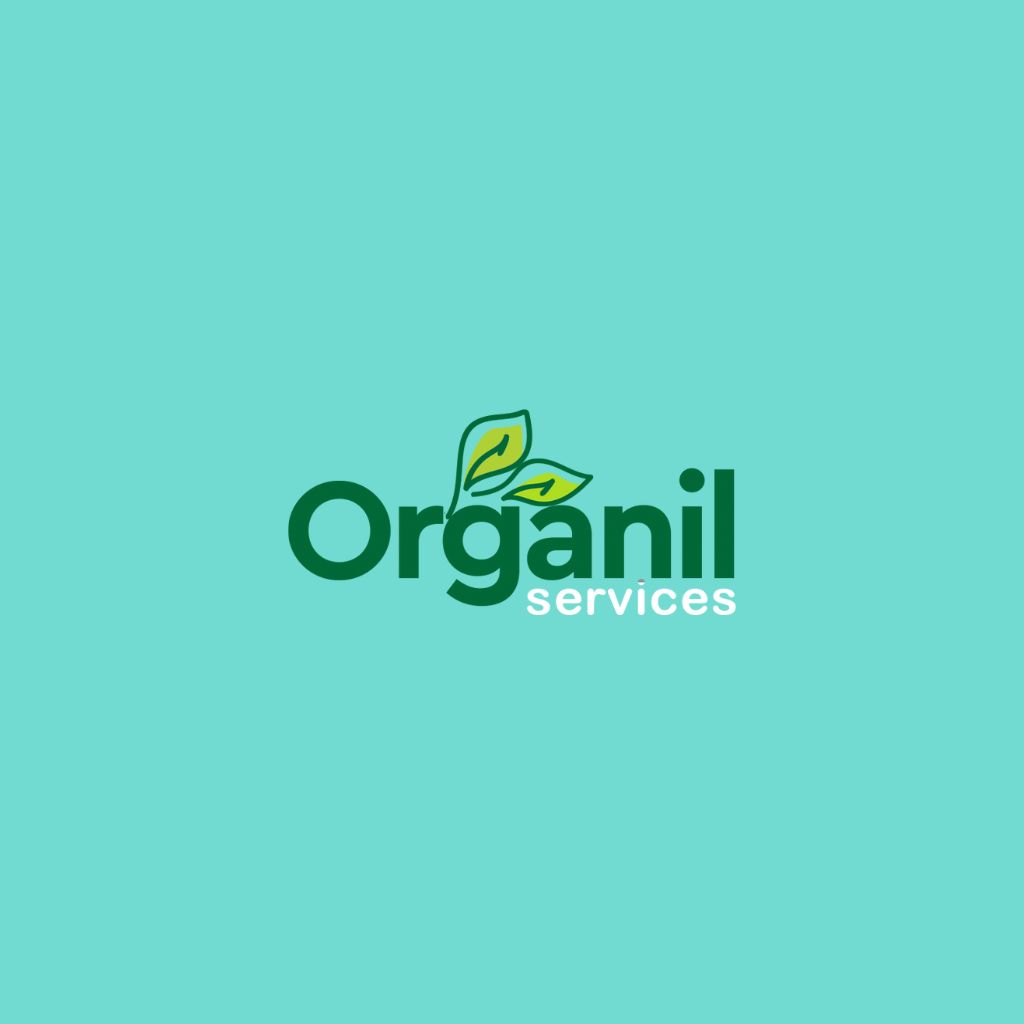 Website Development Agency